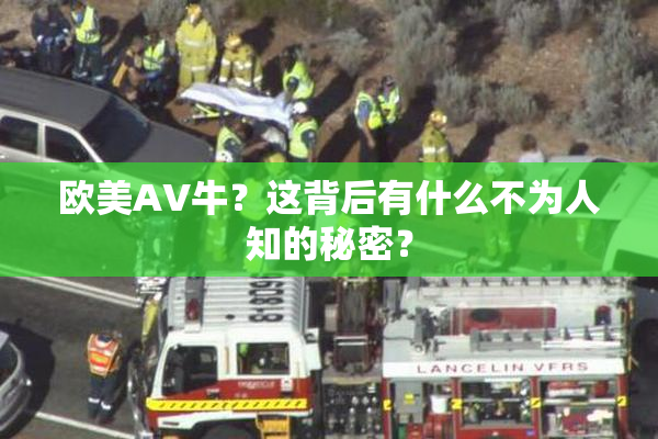 欧美AV牛？这背后有什么不为人知的秘密？