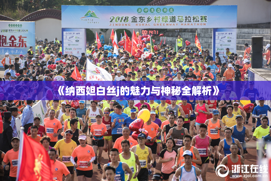 《纳西妲白丝j的魅力与神秘全解析》