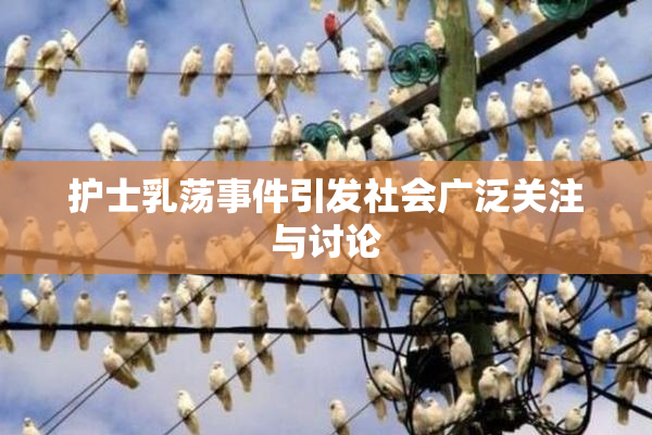 护士乳荡事件引发社会广泛关注与讨论