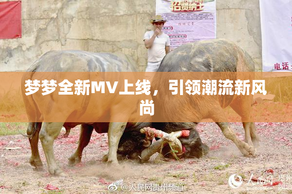 梦梦全新MV上线，引领潮流新风尚