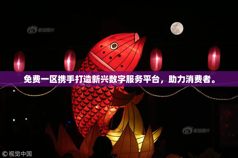 免费一区携手打造新兴数字服务平台，助力消费者。