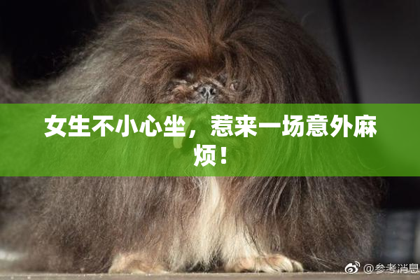 女生不小心坐，惹来一场意外麻烦！