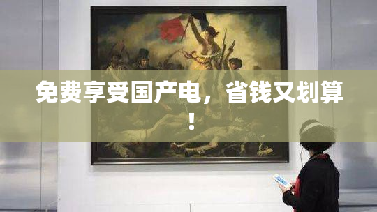 免费享受国产电，省钱又划算！