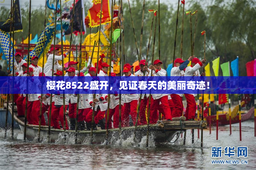 樱花8522盛开，见证春天的美丽奇迹！