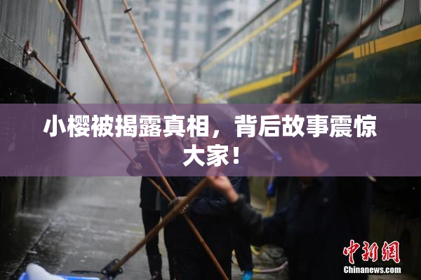 小樱被揭露真相，背后故事震惊大家！