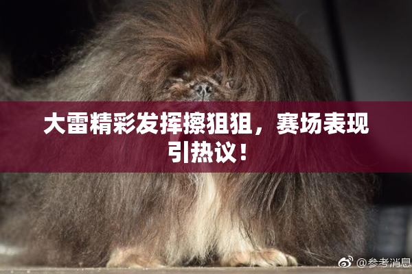 大雷精彩发挥擦狙狙，赛场表现引热议！