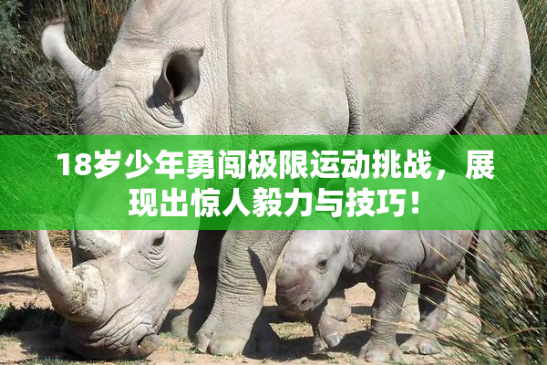 18岁少年勇闯极限运动挑战，展现出惊人毅力与技巧！