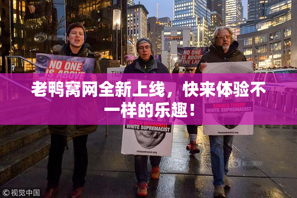 老鸭窝网全新上线，快来体验不一样的乐趣！