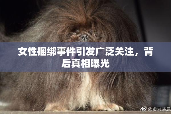 女性捆绑事件引发广泛关注，背后真相曝光