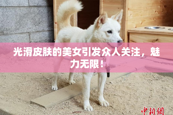 光滑皮肤的美女引发众人关注，魅力无限！