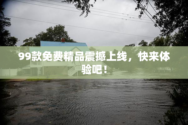 99款免费精品震撼上线，快来体验吧！