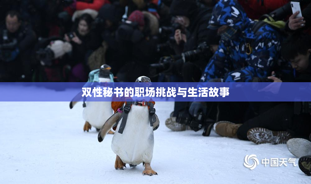 双性秘书的职场挑战与生活故事