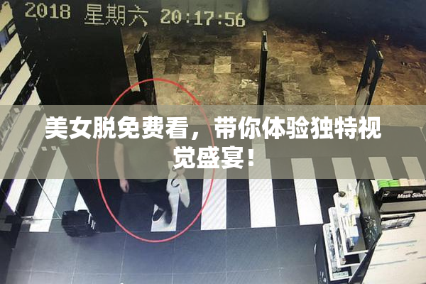 美女脱免费看，带你体验独特视觉盛宴！
