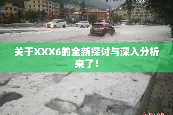 关于XXX6的全新探讨与深入分析来了！