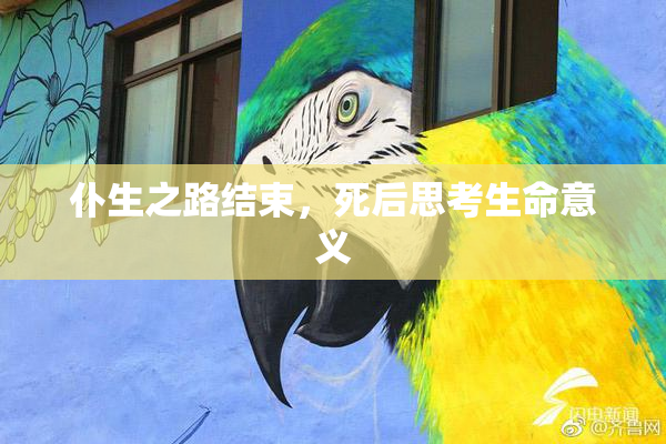 仆生之路结束，死后思考生命意义