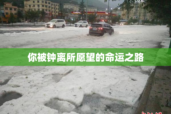 你被钟离所愿望的命运之路