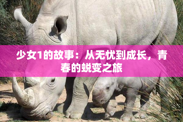 少女1的故事：从无忧到成长，青春的蜕变之旅