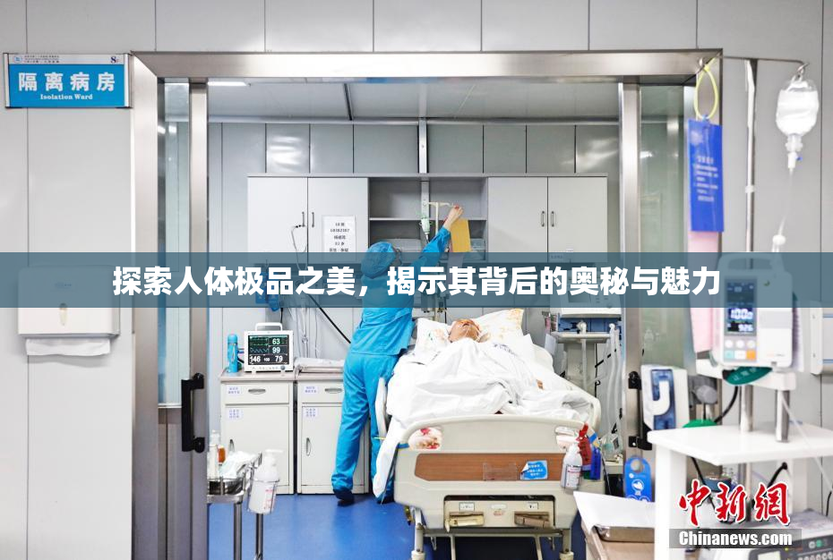 探索人体极品之美，揭示其背后的奥秘与魅力