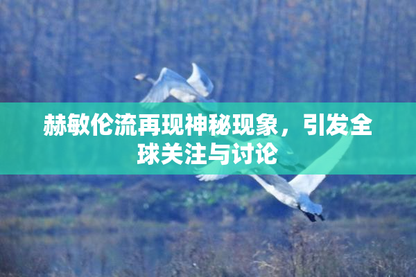 赫敏伦流再现神秘现象，引发全球关注与讨论