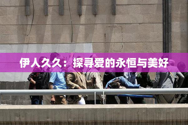 伊人久久：探寻爱的永恒与美好