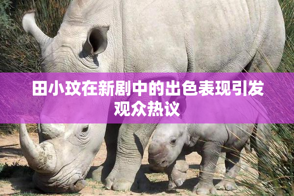 田小玟在新剧中的出色表现引发观众热议