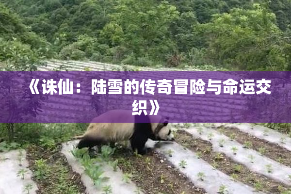 《诛仙：陆雪的传奇冒险与命运交织》