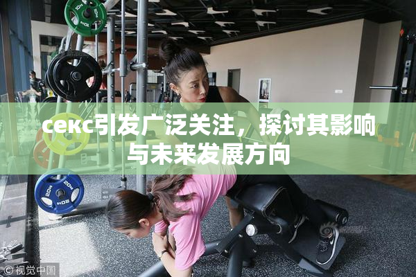 ceкс引发广泛关注，探讨其影响与未来发展方向