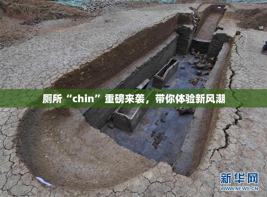 厕所“chin”重磅来袭，带你体验新风潮