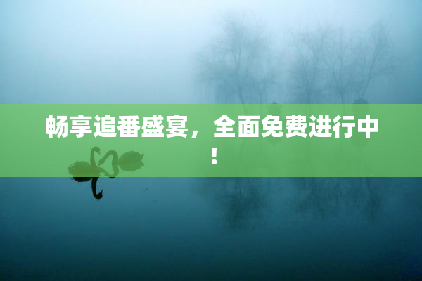 畅享追番盛宴，全面免费进行中！