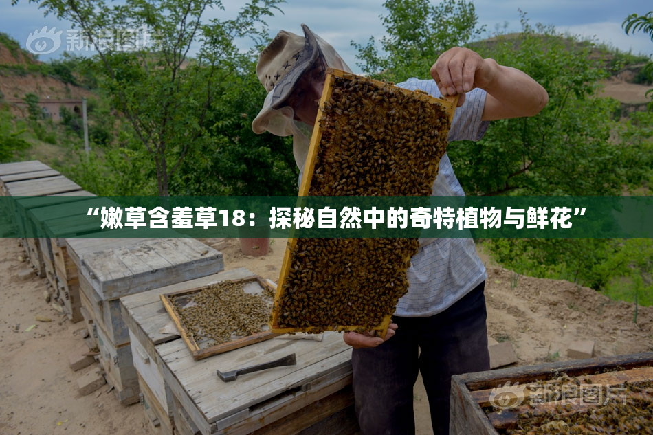 “嫩草含羞草18：探秘自然中的奇特植物与鲜花”