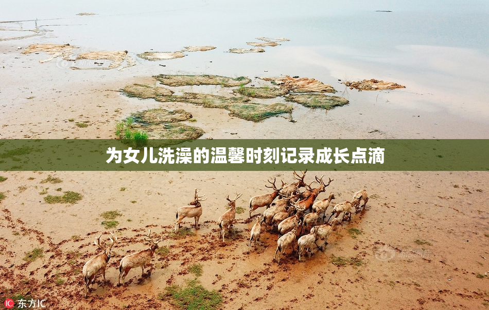 为女儿洗澡的温馨时刻记录成长点滴