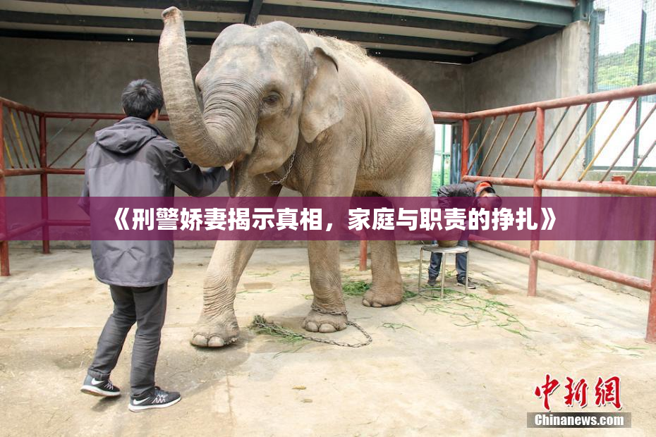 《刑警娇妻揭示真相，家庭与职责的挣扎》