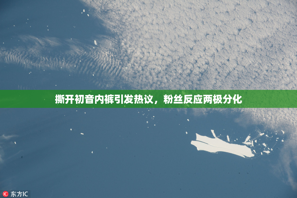 撕开初音内裤引发热议，粉丝反应两极分化