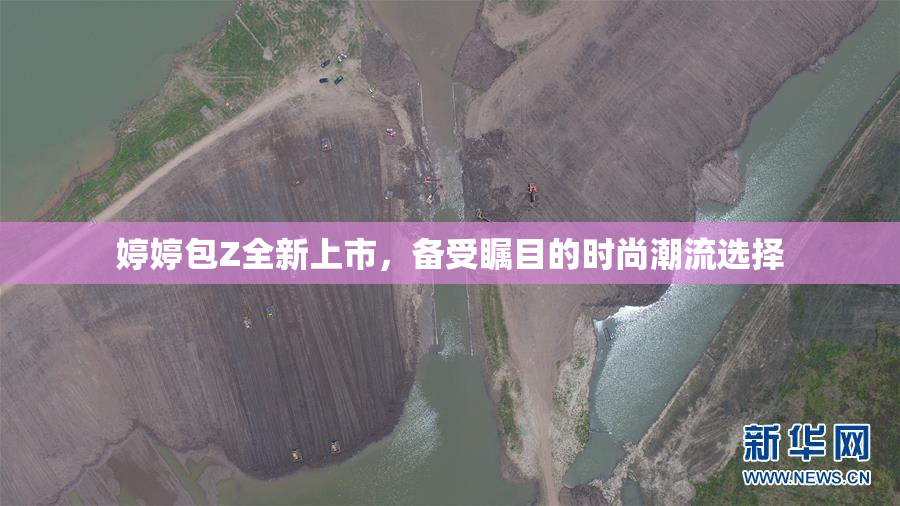 婷婷包Z全新上市，备受瞩目的时尚潮流选择