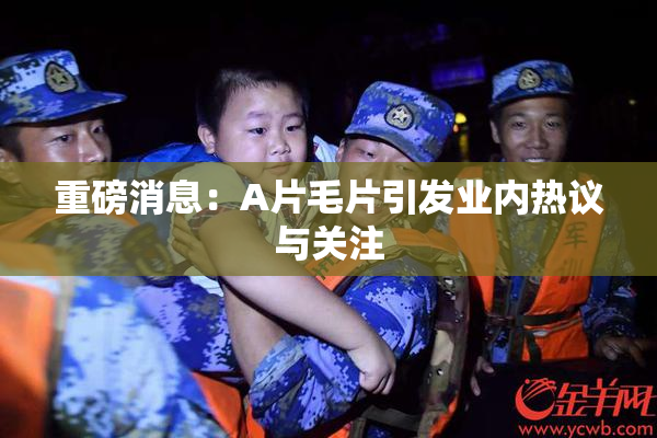 重磅消息：A片毛片引发业内热议与关注