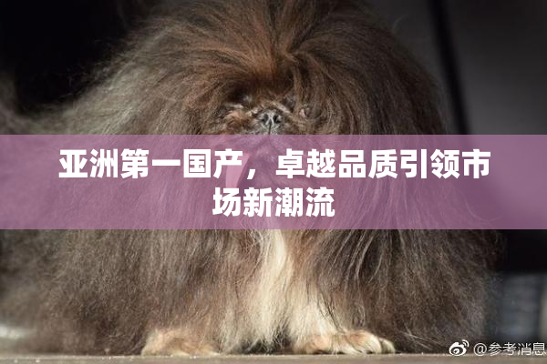 亚洲第一国产，卓越品质引领市场新潮流