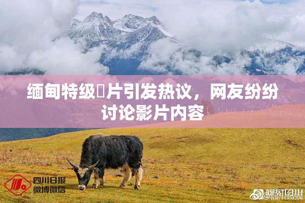 缅甸特级婬片引发热议，网友纷纷讨论影片内容