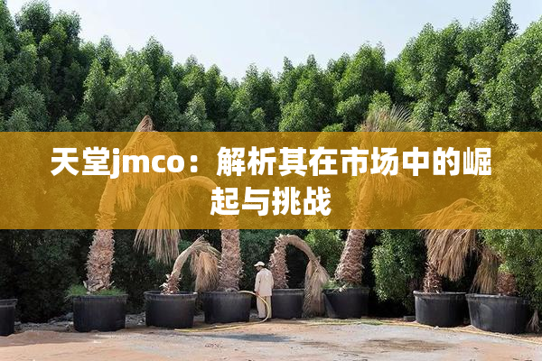 天堂jmco：解析其在市场中的崛起与挑战
