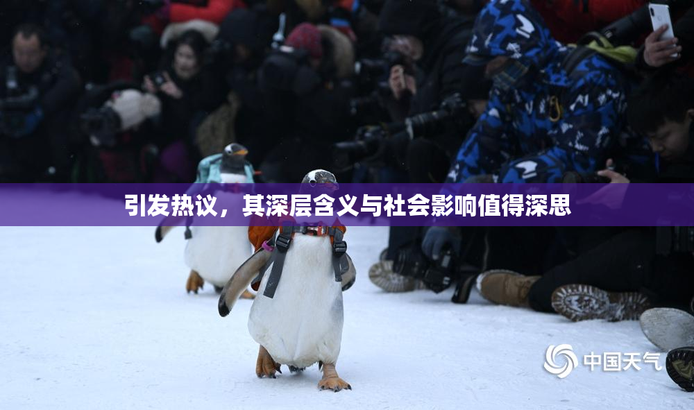 引发热议，其深层含义与社会影响值得深思