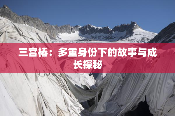 三宫椿：多重身份下的故事与成长探秘
