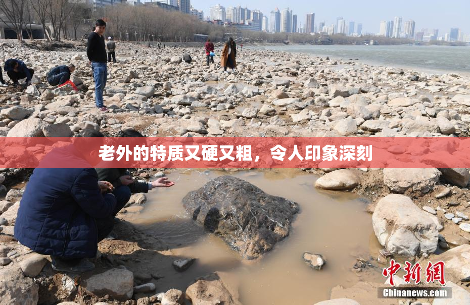 老外的特质又硬又粗，令人印象深刻