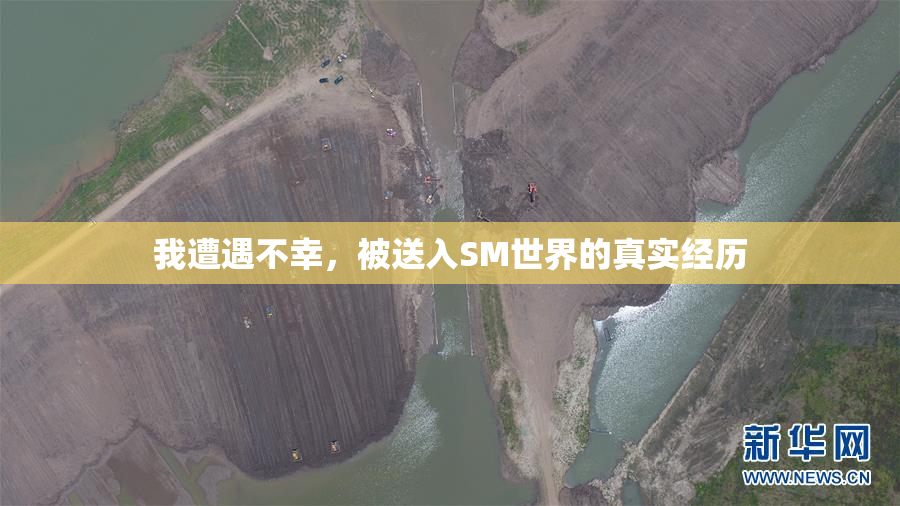 我遭遇不幸，被送入SM世界的真实经历