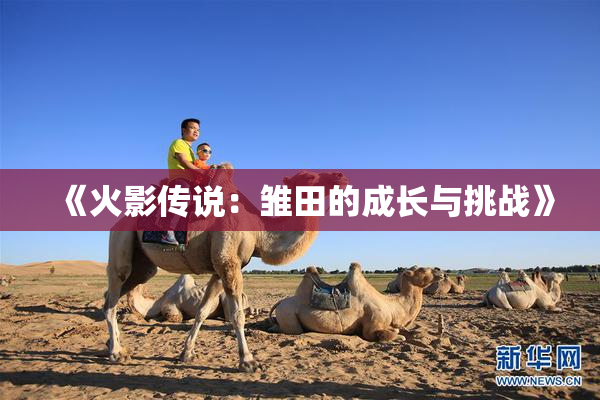 《火影传说：雏田的成长与挑战》