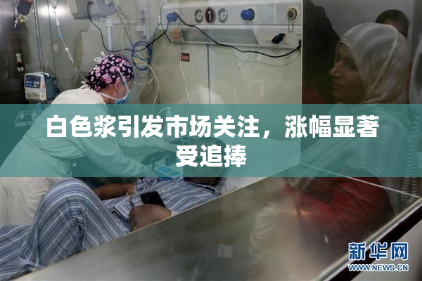 白色浆引发市场关注，涨幅显著受追捧