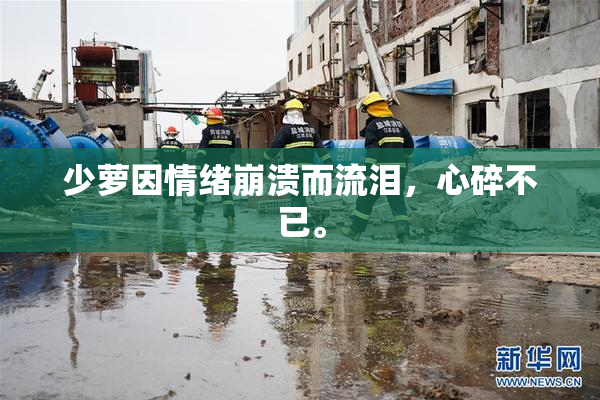 少萝因情绪崩溃而流泪，心碎不已。