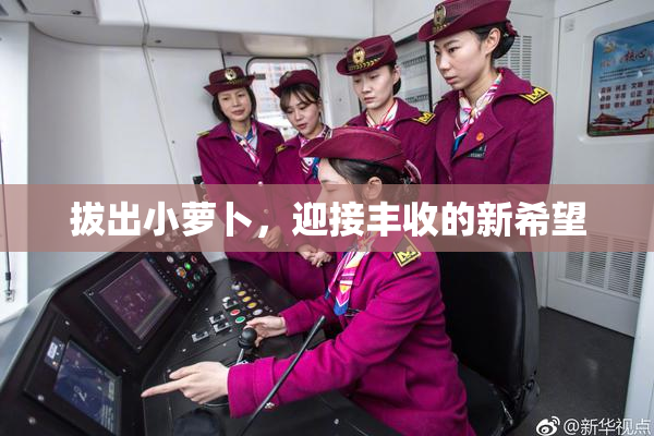 拔出小萝卜，迎接丰收的新希望