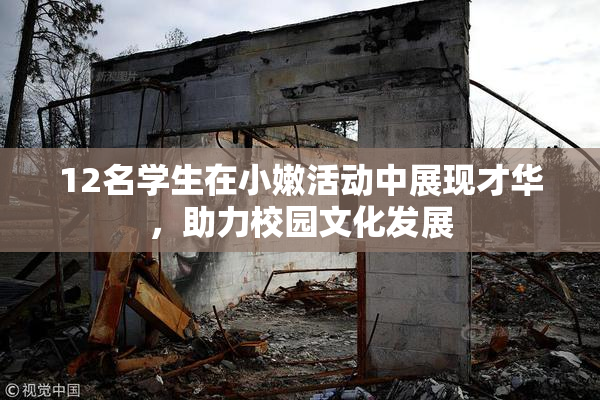12名学生在小嫩活动中展现才华，助力校园文化发展