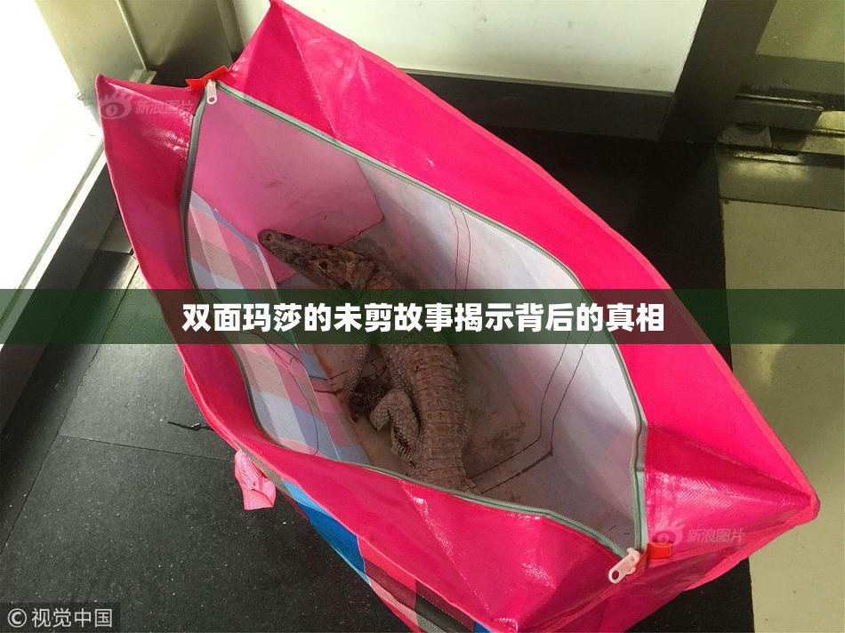 双面玛莎的未剪故事揭示背后的真相