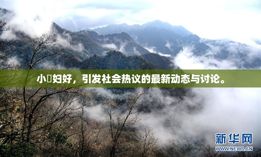 小婬妇好，引发社会热议的最新动态与讨论。