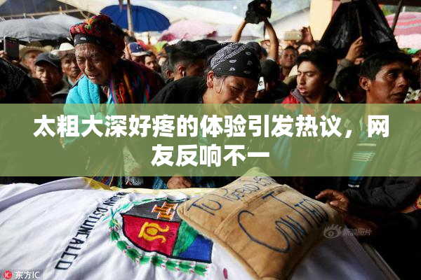 太粗大深好疼的体验引发热议，网友反响不一